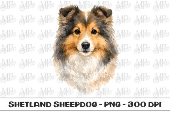 Sheltie Watercolor Portrait PNG for Creative Projects